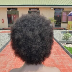 Afro Wig