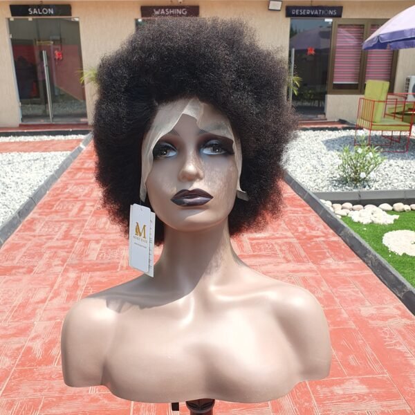 Afro Wig - Image 2